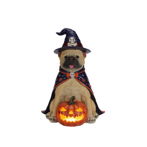 Halloween Bulldog Witch Statue, LED Light Up Jack-O-Lantern Pumpkin