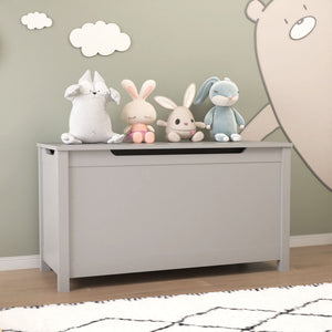 Toy Box Storage With Safety Hinged Lid