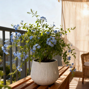 Large Round Planters for Indoor and Outdoor Use