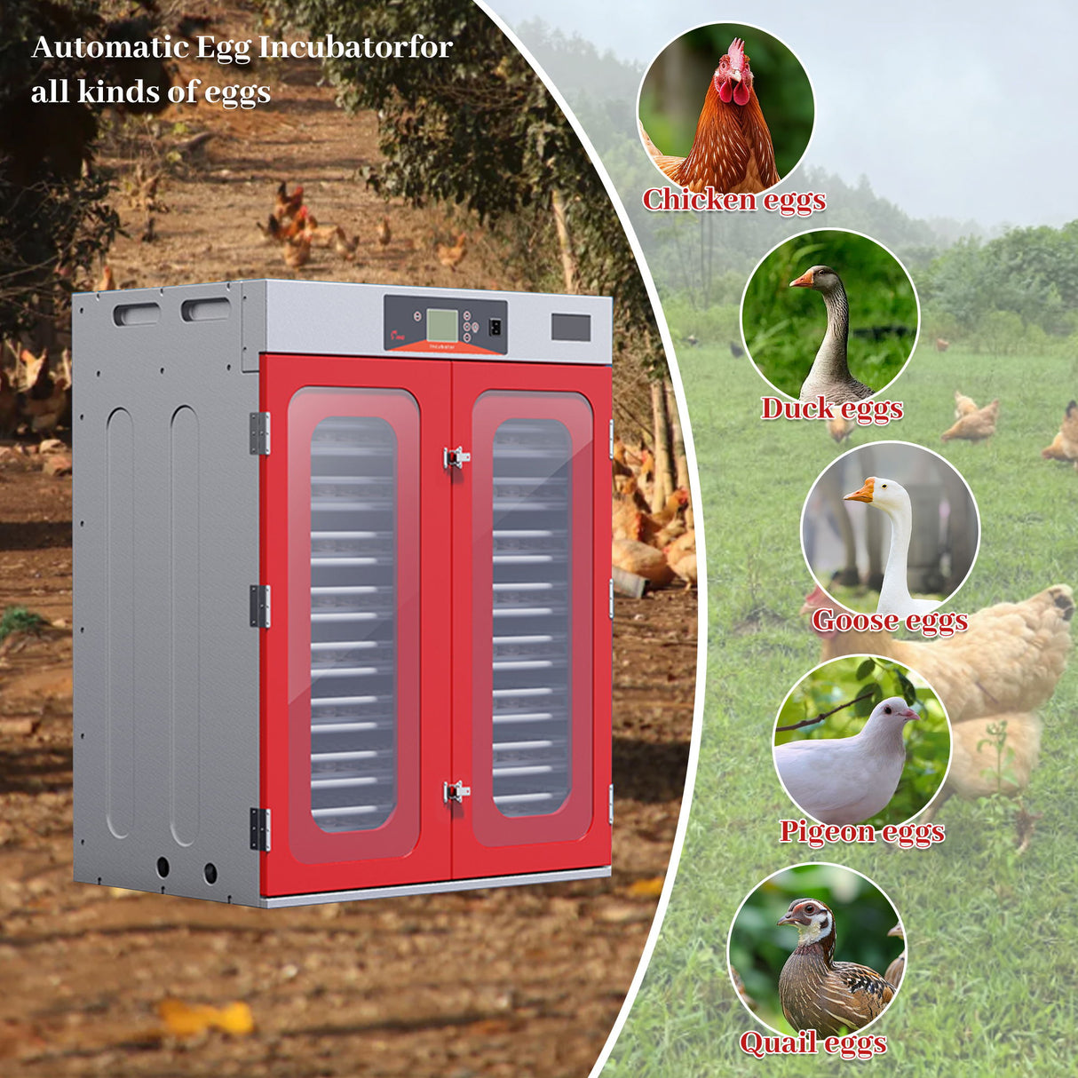 Commercial Egg Digital Cabinet Incubator With Auto Temperature & Humidity Control