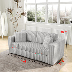 75.6" Soft Modular 2-Person Sofa