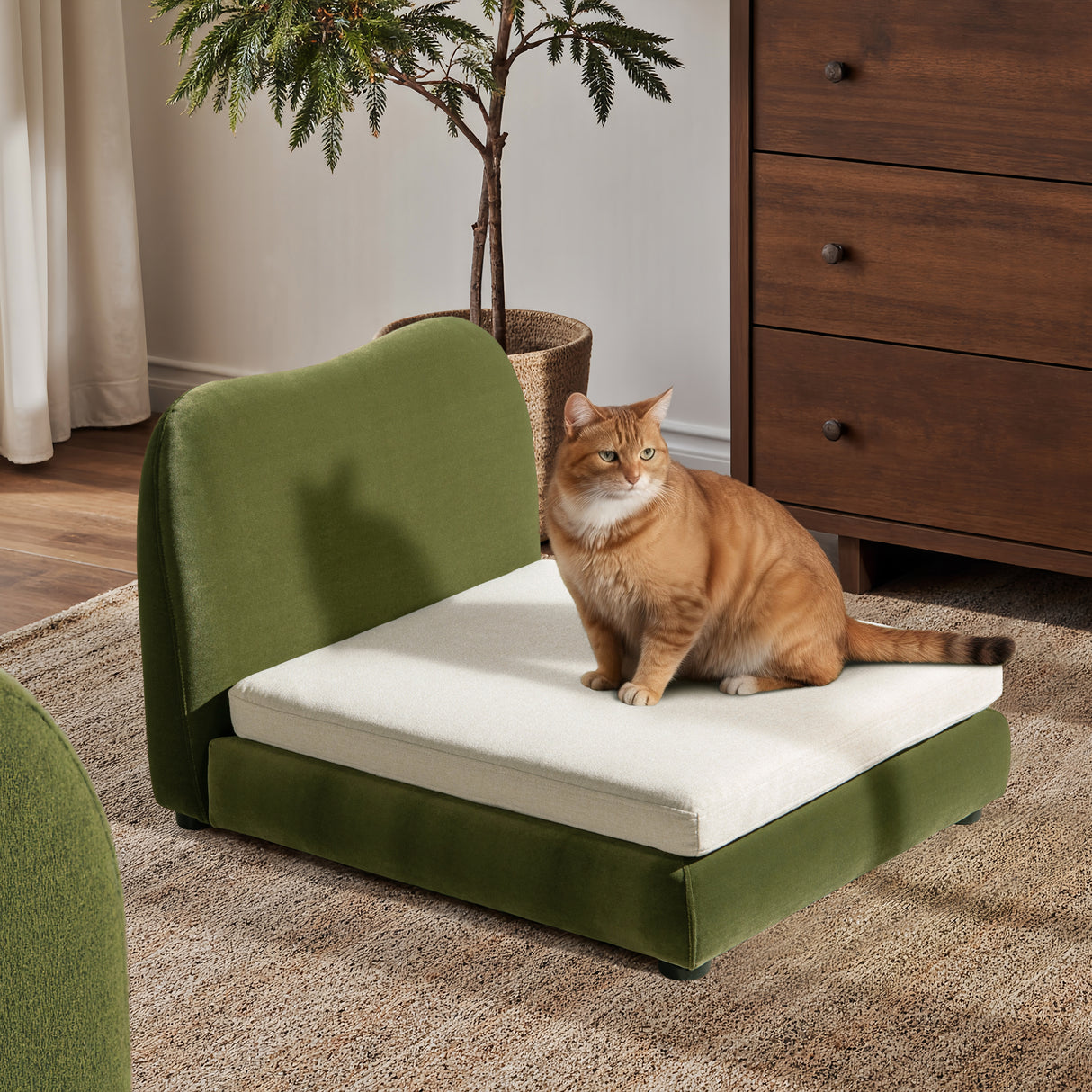 Roman Upholstered Modern Pet Bed