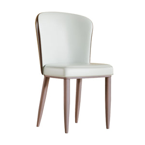 Dining Chair With Carbon Steel Legs, Comfortable Seating, (Set of 2) - White