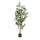 Artificial Laurel Tree - Best Buy Furniture