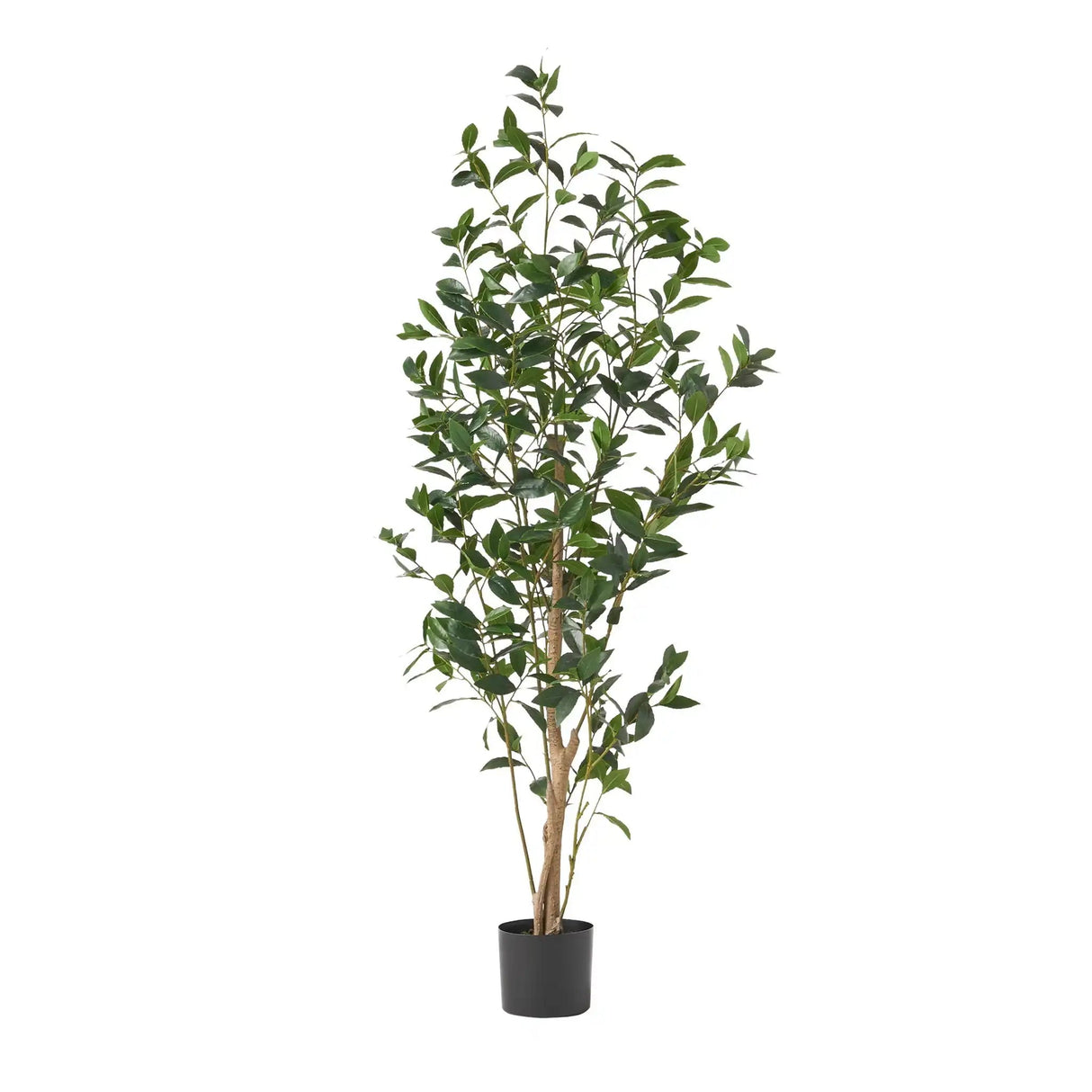 Artificial Laurel Tree - Best Buy Furniture