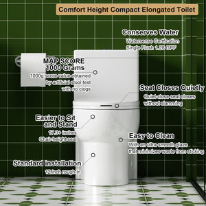 Gloss Tornado Flush 1 Piece Toilet With Soft Closing Seat, Water Saving Dual Flush - Gloss White