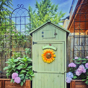 24938608
