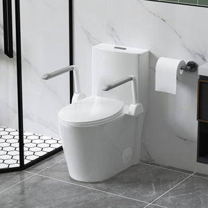 Upgraded Design Armrest, With Glossy Gw 007 1 Piece Toilet With Tornado Flush, Soft Close Seat, Dual Flush Map 1000G, Comfort Chair Seat - Gloss White