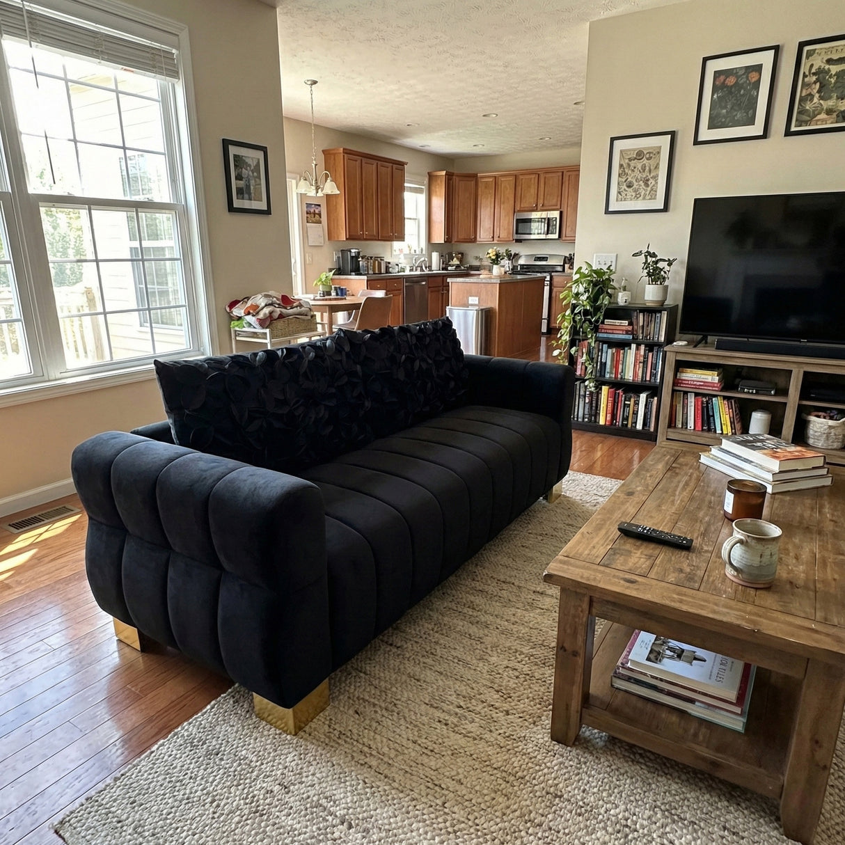 FX-P56-BKH Velvet Sofa