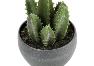 6" Tall, Artificial Plant, Succulent, Indoor, Faux, Fake, Table, Greenery, Potted, Decorative (Set of 3) - Green / Gray - Best Buy Furniture