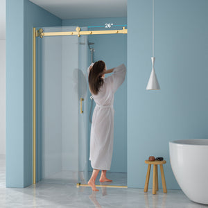 Modern Single Slide Shower Door, Tempered Glass, Stainless Steel Frame