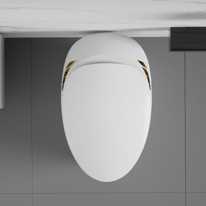 Unique Smart Toilet with Built-in Bidet