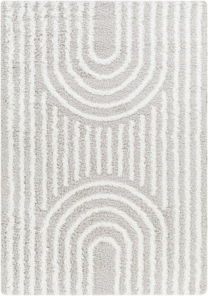 Akela Shag Area Rug - Clearance