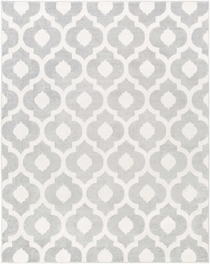 Alachua Area Rug - Clearance