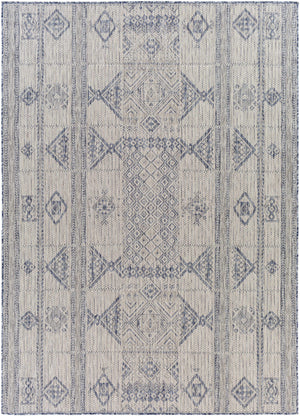 Malamig Gray & Blue Area Rug - Clearance