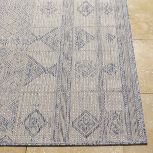 Malamig Gray & Blue Area Rug - Clearance