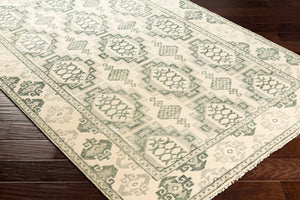 Aloleng Area Rug - Clearance