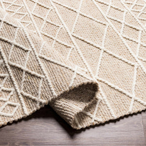 Ambulong Area Rug - Clearance