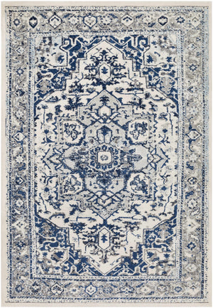 Amidon Area Rug - Clearance