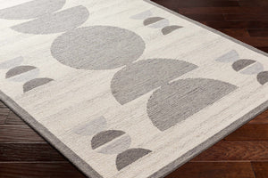 Anahi Area Rug - Clearance
