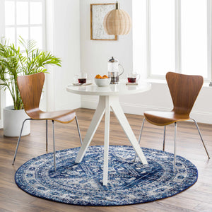 Andes Blue Area Rug