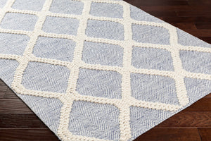 Andra Area Rug - Clearance