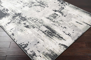 Aquebogue Area Rug - Clearance