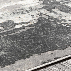 Aquebogue Area Rug - Clearance