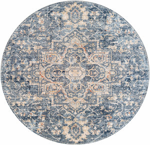 Aramayuan Area Rug - Clearance
