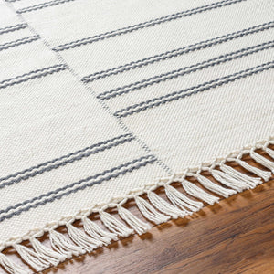 Aras Area Rug - Clearance