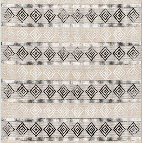 Arij Area Rug - Clearance