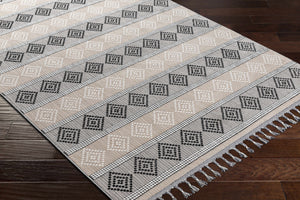 Arij Area Rug - Clearance
