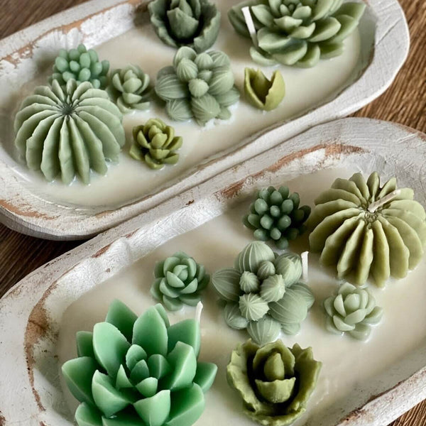Arizona Dream Cactus Wooden Bowl Candle