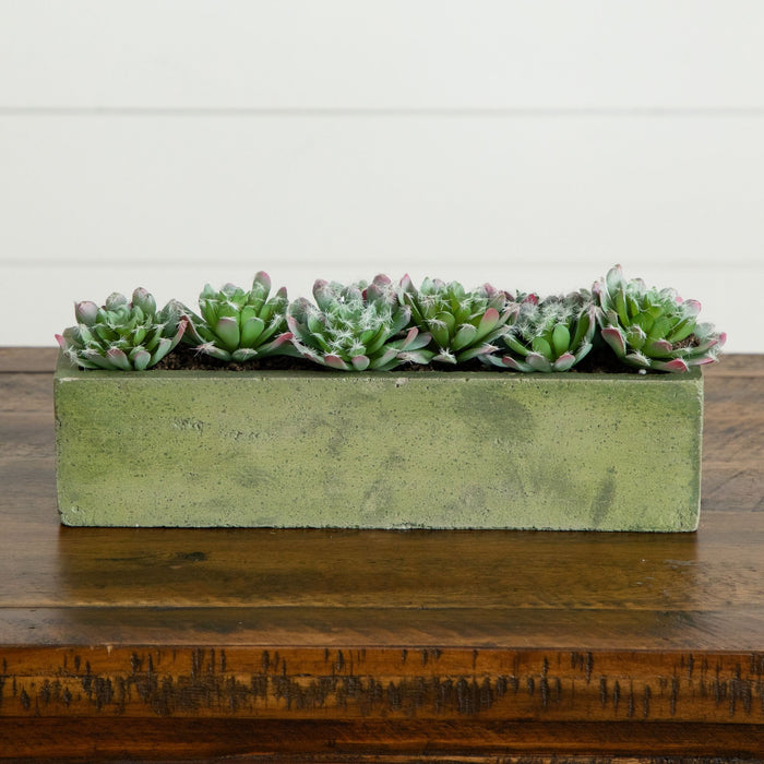 Nearly Natural 5.5” Succulent Garden with Textured Concrete Planter