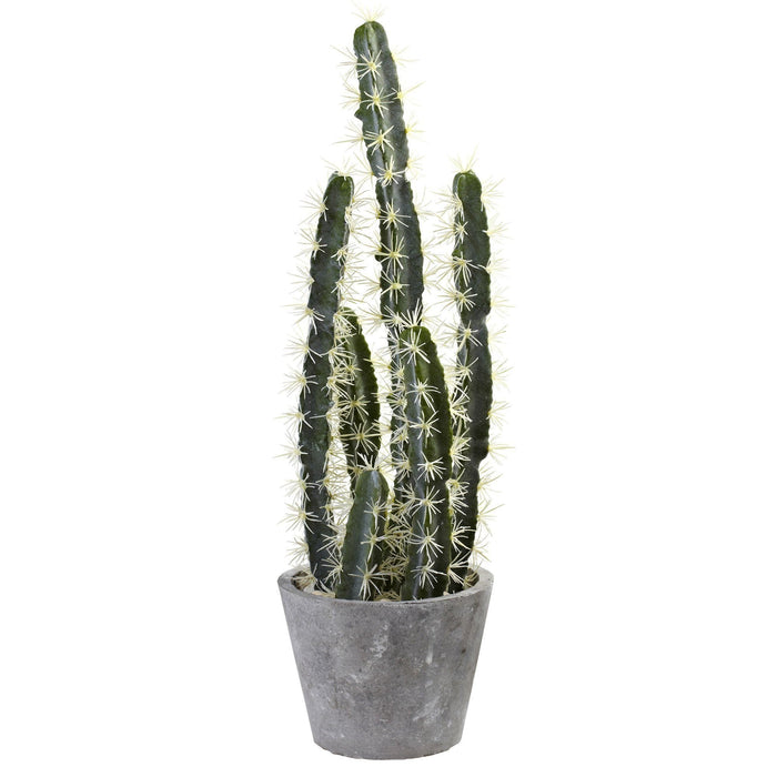 Nearly Natural Decorative Cactus Garden w/Cement Planter