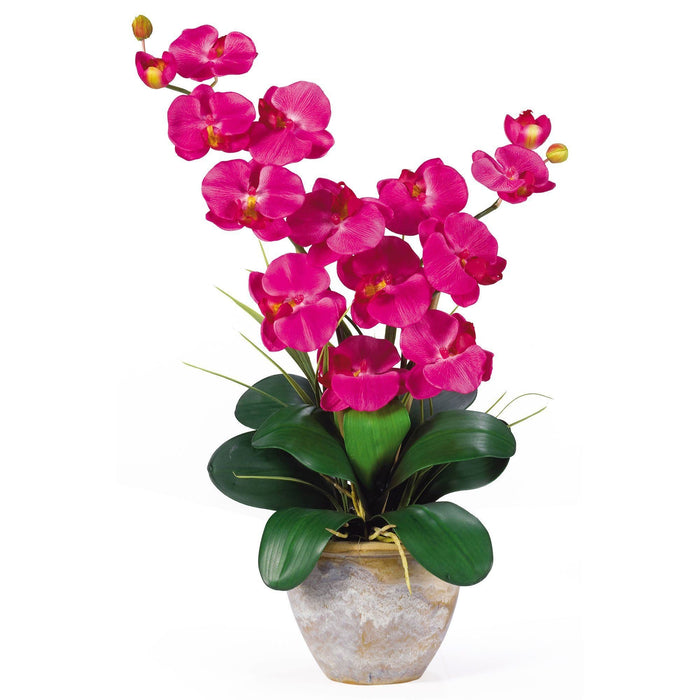 Nearly Natural Double Stem Phalaenopsis Silk Orchid Arrangement in Beauty