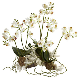 Nearly Natural Mini Phalaenopsis Set on Coral