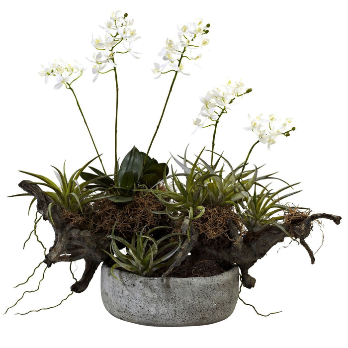 Nearly Natural Orchid & Succulent Garden w/Driftwood & Decorative Vase
