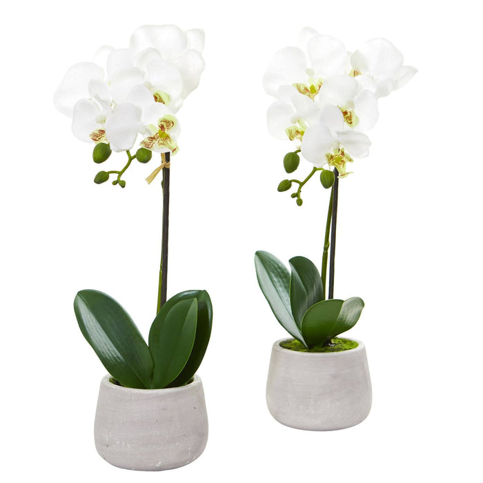 Nearly Natural Phalaenopsis Orchid Artificial Arrangement (Set of 2)