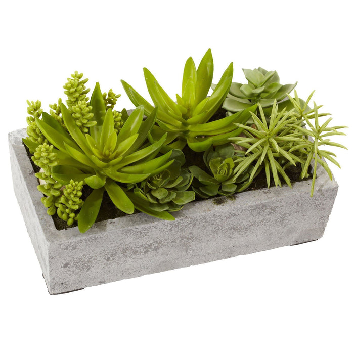 Nearly Natural Succulent Garden w/Concrete Planter