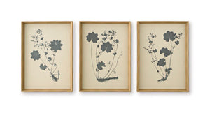 Huddwick Wall Art Set (Set of 3)
