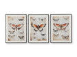 Jossletts Wall Art Set (Set of 3)