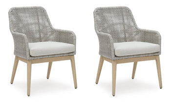 Seton Creek Arm Chair With Cushion (Set of 2)