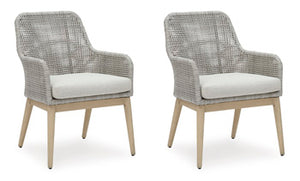 Seton Creek Arm Chair With Cushion (Set of 2)