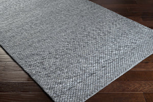 Ashmont Area Rug - Clearance