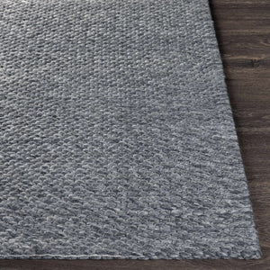Ashmont Area Rug - Clearance