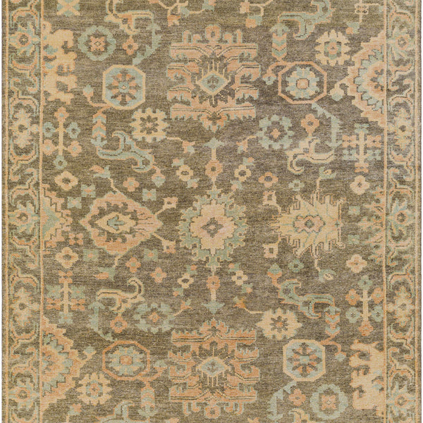 Asotin Hand Knotted Wool Area Rug