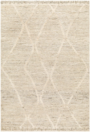 Aysu   Area Rug - Clearance