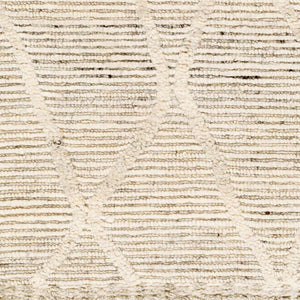 Aysu   Area Rug - Clearance