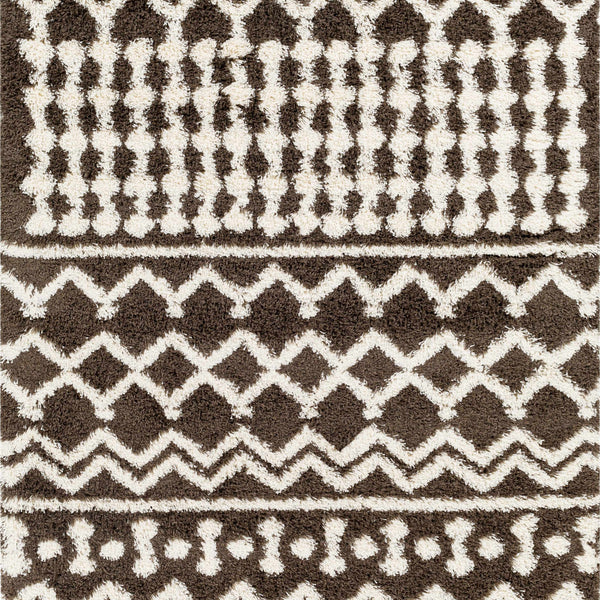 Aysel Shag Area Rug